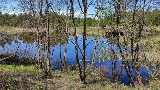 80086 Gruban Cir, Greenwood Twp, MN 55790