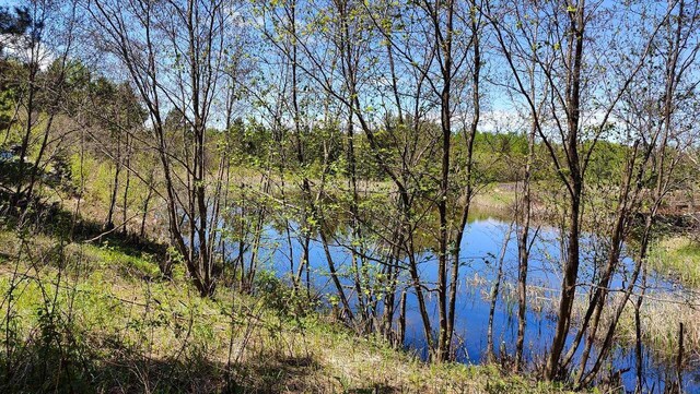 80086 Gruban Cir, Greenwood Twp, MN 55790
