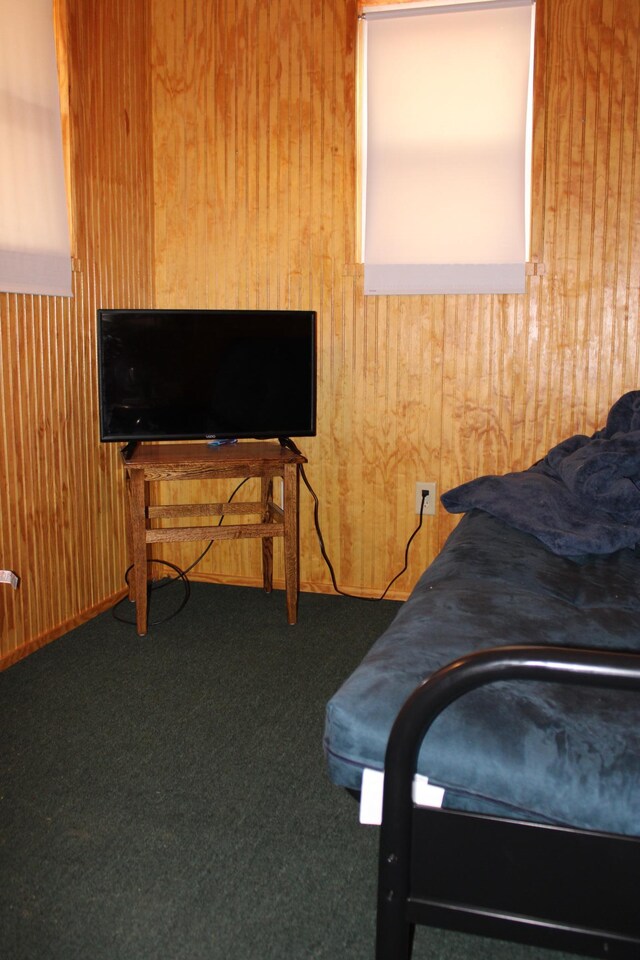 30349 Johnson Creek Trl, Webb Lake, WI 54830 - bedroom with wood walls and carpet