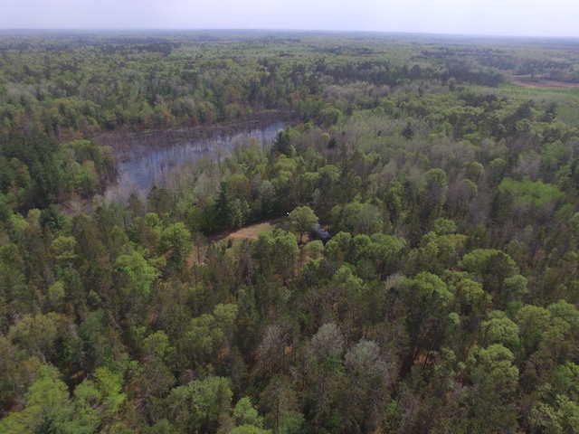 30349 Johnson Creek Trl, Webb Lake, WI 54830 - aerial overview of property's location with a forest and a large body of water