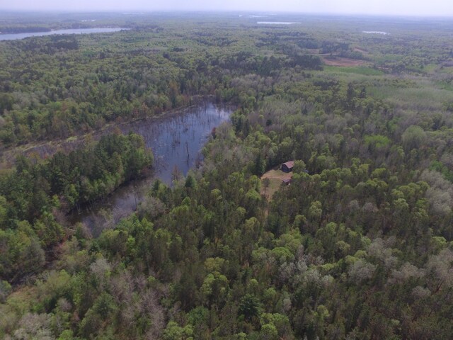 30349 Johnson Creek Trl, Webb Lake, WI 54830 - aerial view of property and surrounding area featuring a forest and a nearby body of water