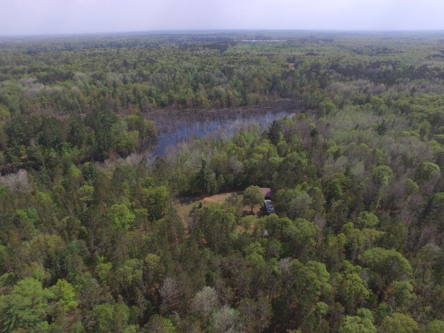 30349 Johnson Creek Trl, Webb Lake, WI 54830 - view of property location featuring a heavily wooded area and a nearby body of water