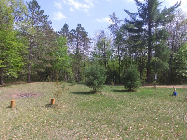 30349 Johnson Creek Trl, Webb Lake, WI 54830 - view of green lawn