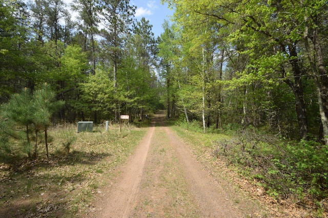30349 Johnson Creek Trl, Webb Lake, WI 54830 - view of dirt / gravel road featuring a forest view