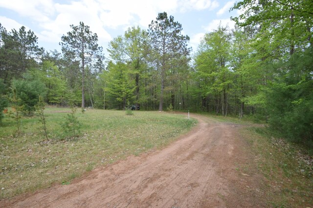 30349 Johnson Creek Trl, Webb Lake, WI 54830 - view of dirt / gravel road featuring a wooded view