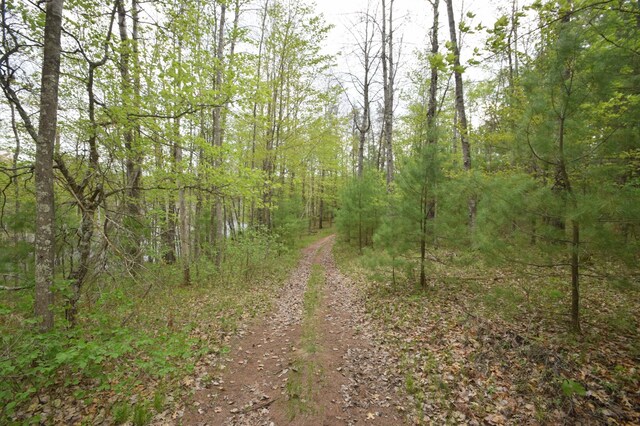 30349 Johnson Creek Trl, Webb Lake, WI 54830 - view of wooded area