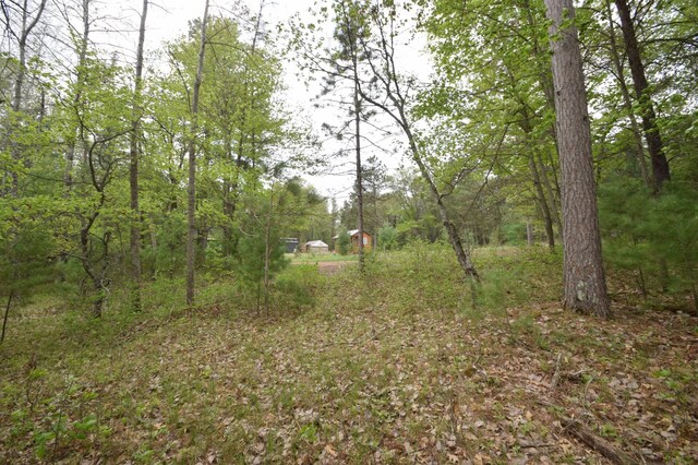 30349 Johnson Creek Trl, Webb Lake, WI 54830 - view of yard featuring a wooded view