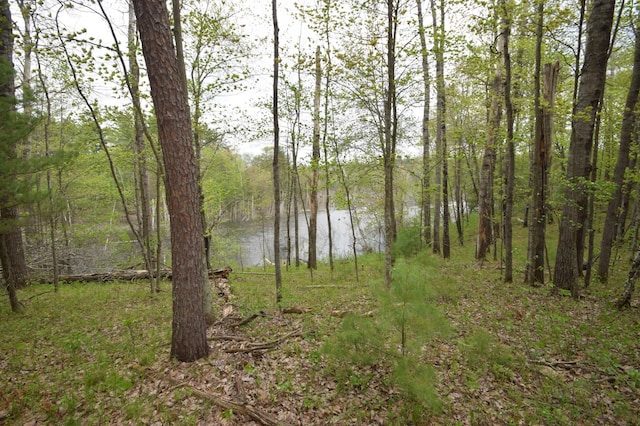30349 Johnson Creek Trl, Webb Lake, WI 54830 - water view featuring a heavily wooded area