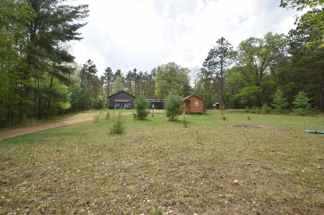 30349 Johnson Creek Trl, Webb Lake, WI 54830 - view of grassy yard