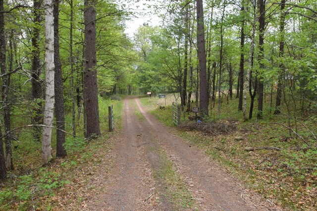 30349 Johnson Creek Trl, Webb Lake, WI 54830 - view of dirt / gravel road with a forest view