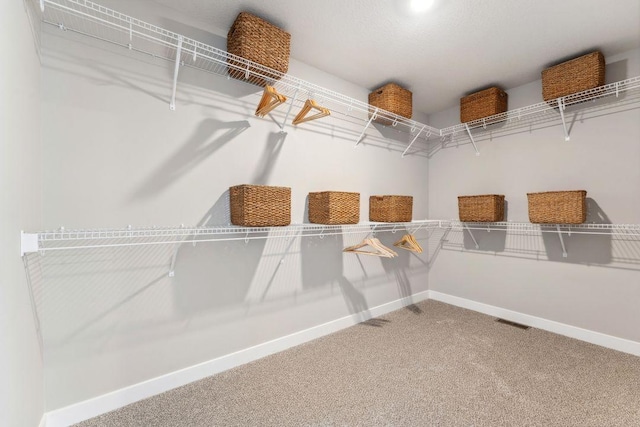 walk in closet featuring visible vents and carpet floors