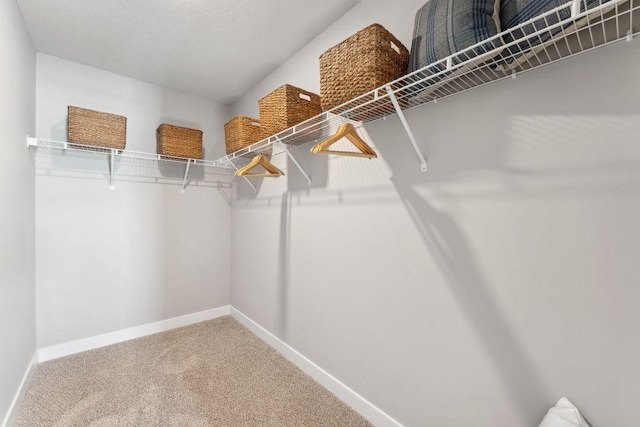 walk in closet with carpet