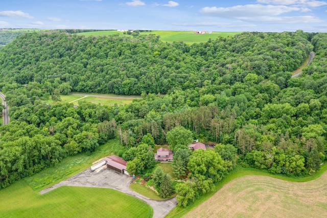 N2699 County Road A, Salem Twp, WI 54750 - bird's eye view of a forest