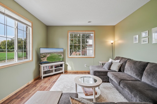 living room with wood finished floors and baseboards