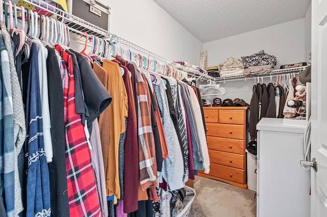 walk in closet with carpet floors