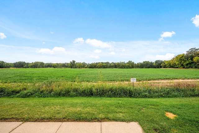 view of yard featuring a rural view