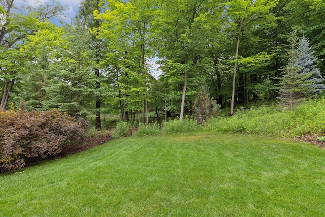 405 Carpenters Pt, Wayzata, MN 55391 - photo 39