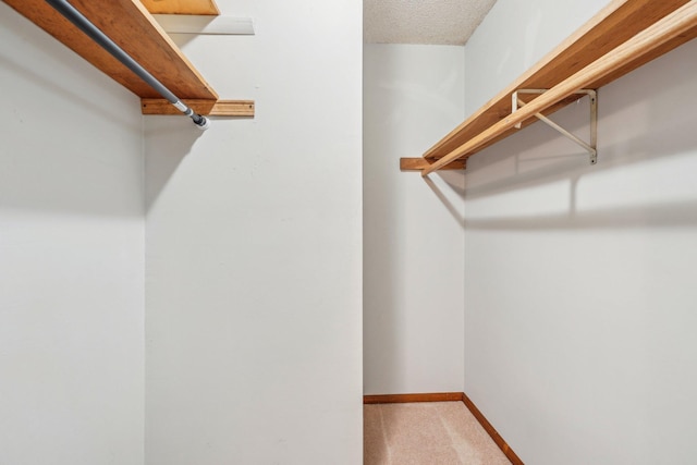 2605 Forest St, Maplewood, MN 55109 - walk in closet featuring carpet flooring