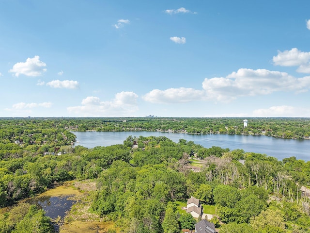 2605 Forest St, Maplewood, MN 55109 - drone / aerial view of a forest and a large body of water