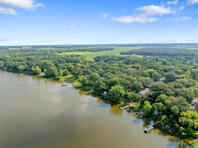 6824 107th Ave SE, Clear Lake Twp, MN 55319 - photo 35