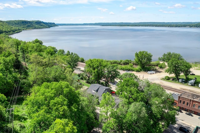 W3527 2nd St, Maiden Rock, WI 54750 - drone / aerial view of a large body of water