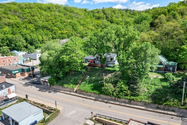W3527 2nd St, Maiden Rock, WI 54750 - bird's eye view of a forest