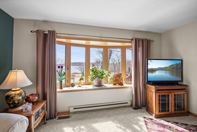 W3527 2nd St, Maiden Rock, WI 54750 - living room with a baseboard radiator, carpet flooring, and a textured ceiling