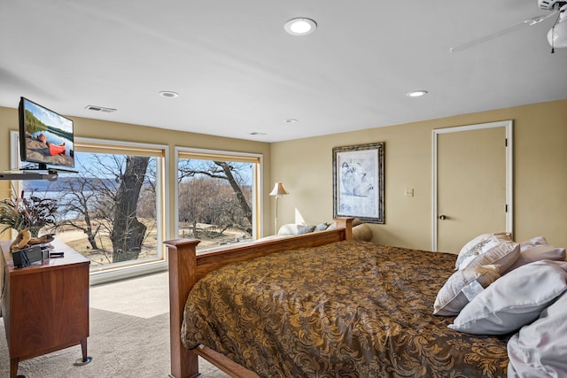 W3527 2nd St, Maiden Rock, WI 54750 - bedroom with carpet and recessed lighting