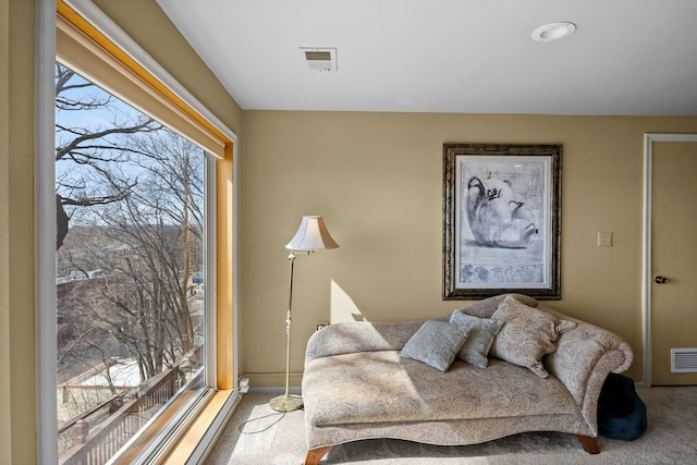 W3527 2nd St, Maiden Rock, WI 54750 - living area featuring carpet and plenty of natural light