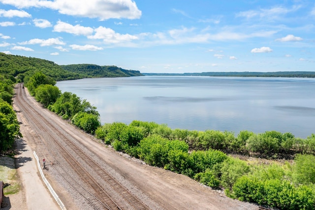 W3527 2nd St, Maiden Rock, WI 54750 - water view