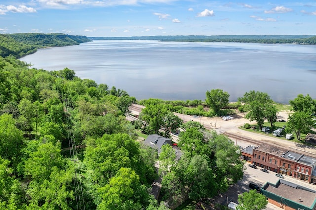 W3527 2nd St, Maiden Rock, WI 54750 - bird's eye view of a large body of water and a forest