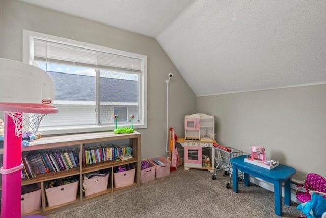 588 Van Buren Ave, Saint Paul, MN 55103 - playroom featuring lofted ceiling, carpet floors, and a textured ceiling