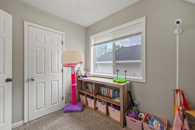 588 Van Buren Ave, Saint Paul, MN 55103 - recreation room with carpet flooring