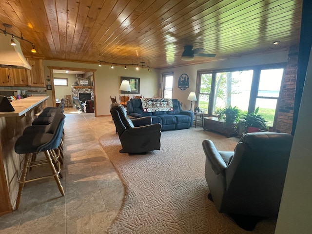 18063 Bernard Trl, Brainerd, MN 56401 - living area with rail lighting, wooden ceiling, ceiling fan, and a fireplace