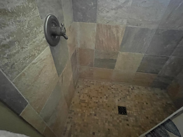 18063 Bernard Trl, Brainerd, MN 56401 - bathroom view of tiled shower