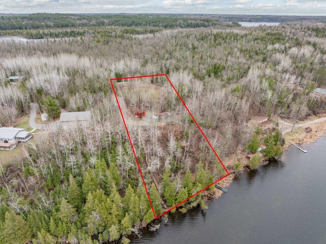 37873 Star Lake Ln, Marcell, MN 56657 - photo 4
