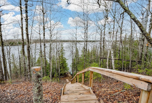 37873 Star Lake Ln, Marcell, MN 56657 - photo 6