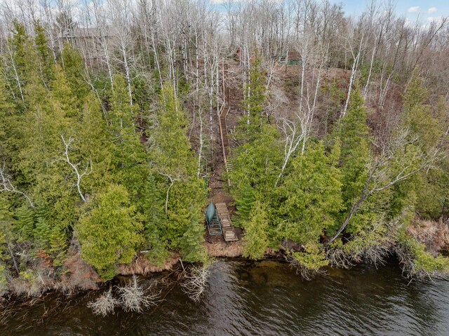 37873 Star Lake Ln, Marcell, MN 56657 - photo 7