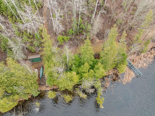 37873 Star Lake Ln, Marcell, MN 56657 - photo 8