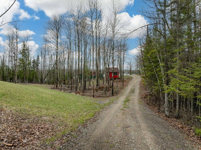 37873 Star Lake Ln, Marcell, MN 56657 - photo 22