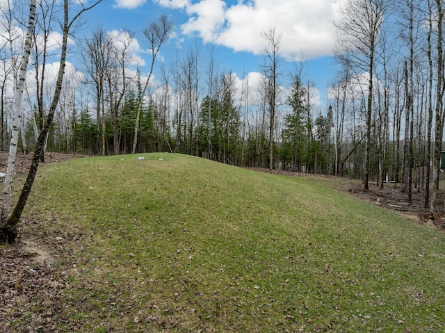 37873 Star Lake Ln, Marcell, MN 56657 - photo 23
