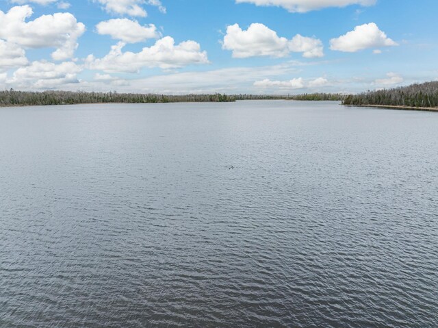 37873 Star Lake Ln, Marcell, MN 56657 - photo 24