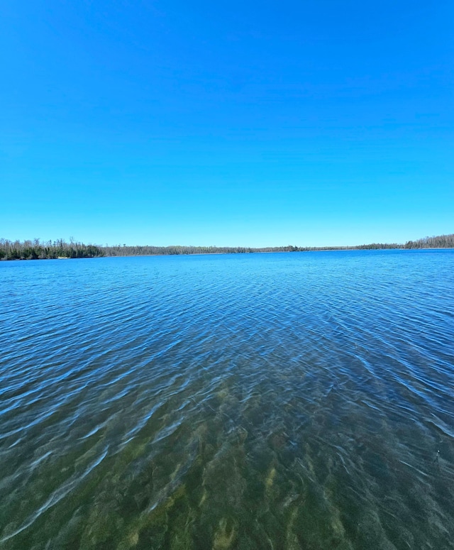 37873 Star Lake Ln, Marcell, MN 56657 - photo 25