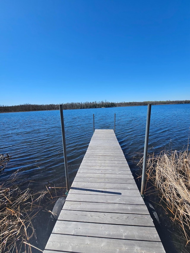 37873 Star Lake Ln, Marcell, MN 56657 - photo 26