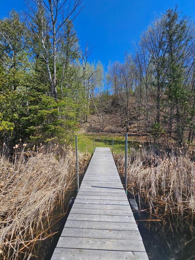 37873 Star Lake Ln, Marcell, MN 56657 - photo 27