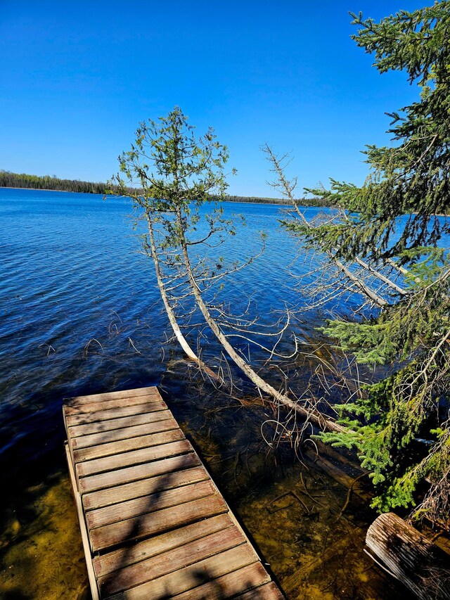 37873 Star Lake Ln, Marcell, MN 56657 - photo 28