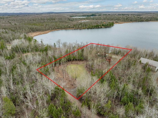 37873 Star Lake Ln, Marcell, MN 56657 - photo 30