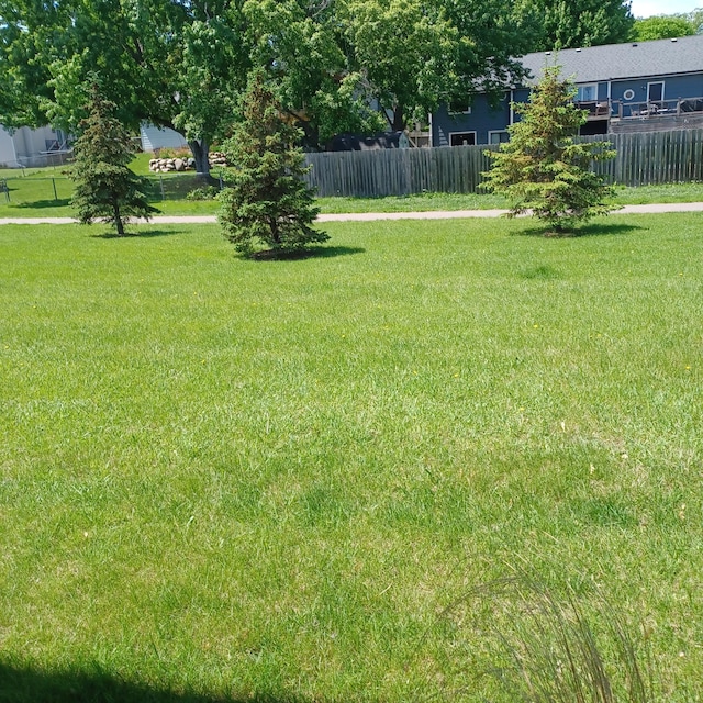 6237 Magda Dr Unit A, Maple Grove, MN 55369 - view of yard