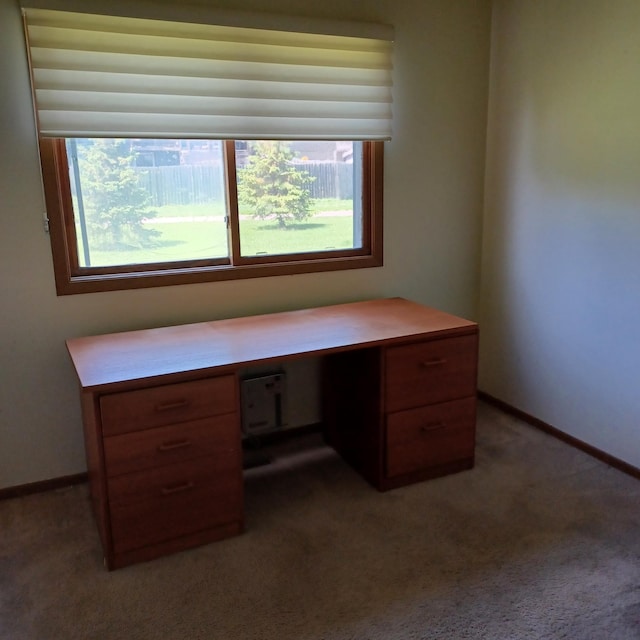 6237 Magda Dr Unit A, Maple Grove, MN 55369 - unfurnished office with healthy amount of natural light, carpet, and baseboards