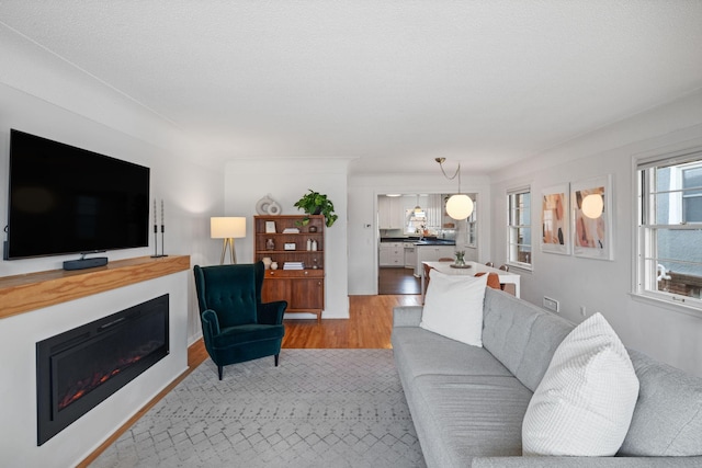 living room featuring a glass covered fireplace and light wood-type flooring